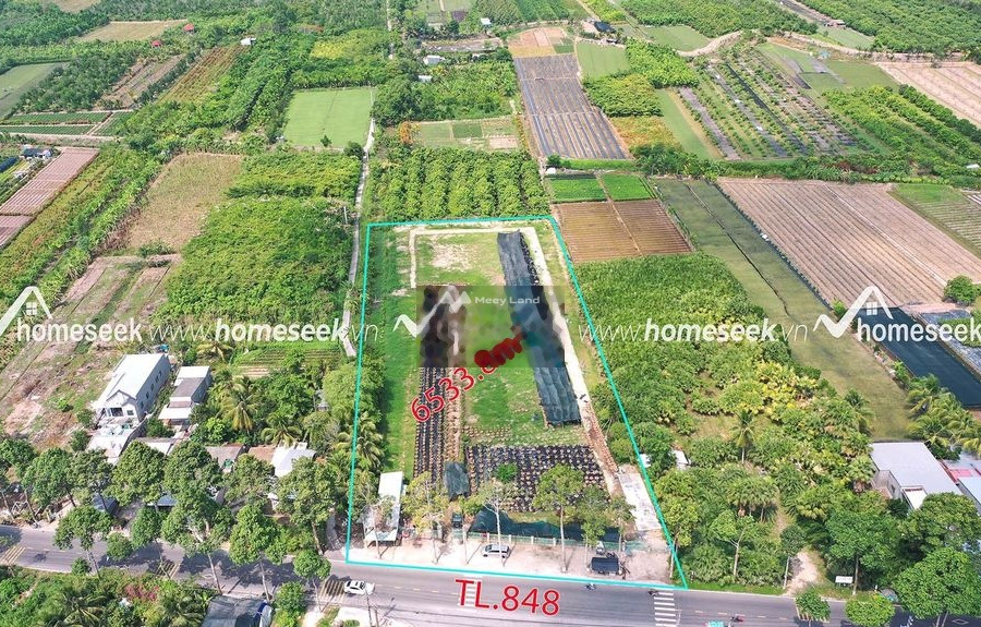 Bán đất Tân Khánh Đông, Đồng Tháp diện tích khoảng 5338m2-01