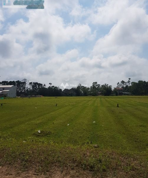 Vị trí thuận lợi ngay trên Phú Vang, Thừa Thiên Huế bán đất, giá mua ngay từ 1.15 tỷ, hướng Đông Nam diện tích là 200m2-01