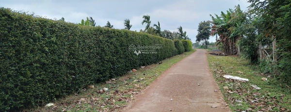 385 triệu bán đất với diện tích thực 188m2 vị trí mặt tiền ngay trên Krông Năng, Đắk Lắk-03