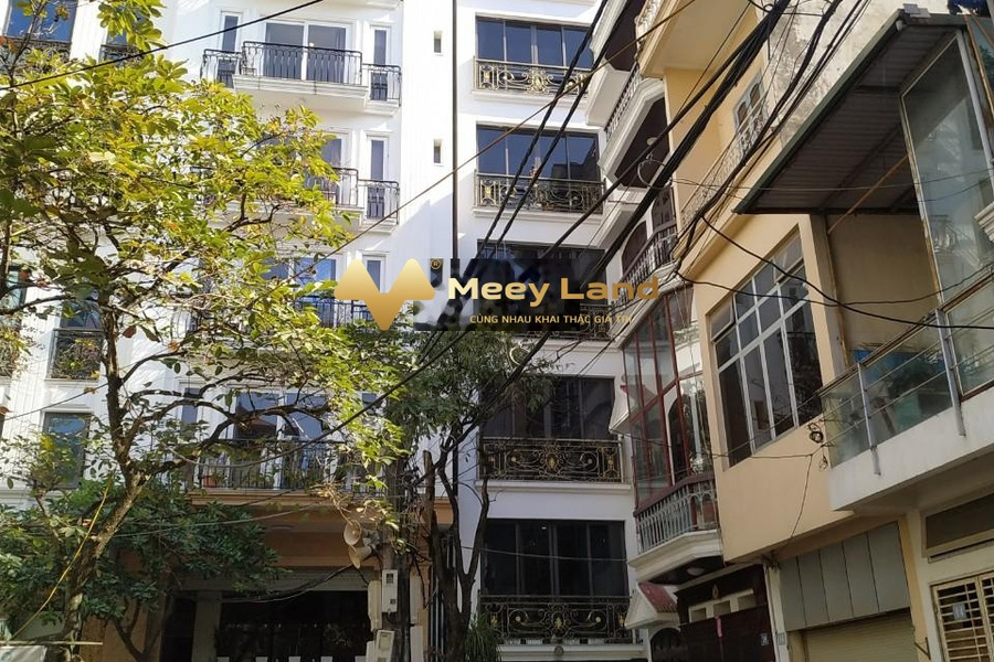 Bán nhà có dt gồm 85 m2 vị trí đặt ở trung tâm Điện Biên, Ba Đình vào ở luôn giá bất ngờ từ 45 tỷ-01
