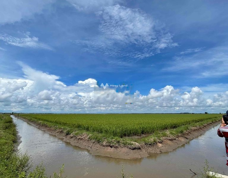 Vị trí nằm trên Thái Trị, Vĩnh Hưng bán đất giá bán công khai 4.4 tỷ diện tích 63000m2-01