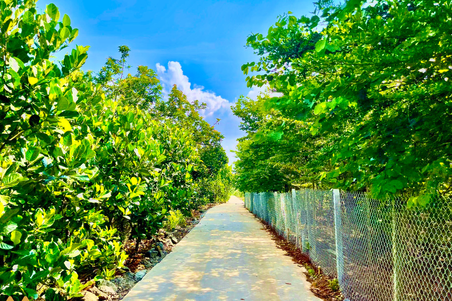 Bán vườn sầu riêng ven suối, đất phủ hồng, cách đường nhựa liên xã Xuân Định chỉ 50m tại Đồng Nai-01