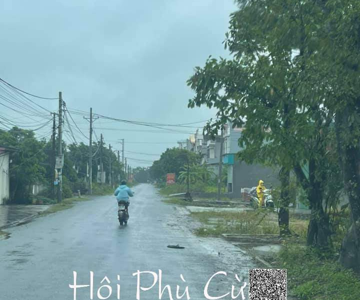 Bán đất Trà Bồ, xã Phan Sào Nam, huyện Phù Cừ-01