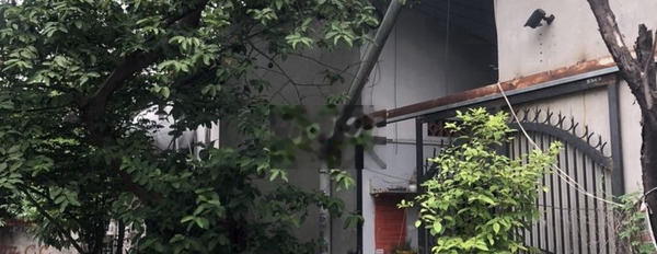 Nhà trọ nhiều cây cối, không khí trong lành tại Sài Gòn -02