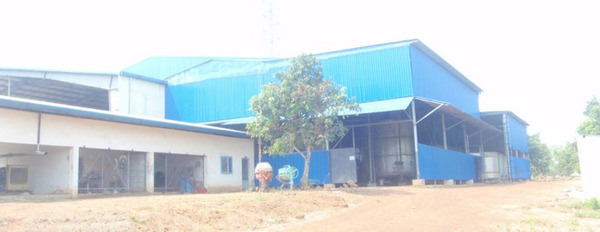 Bán nhà máy sản xuất tinh bột mì Lộc Phú– Lộc Ninh – Bình Phước, 34ha, giá bán 125 tỷ-02