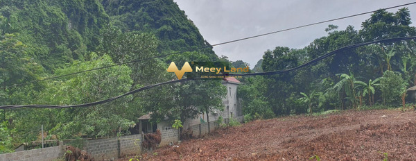 Lương Sơn, Hòa Bình 600 triệu bán đất với dt thực 734 m2-02