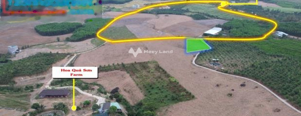 Khánh Trung, Khánh Hòa bán đất giá sang tên chỉ 119 triệu, hướng Đông Nam diện tích rộng 717m2-02