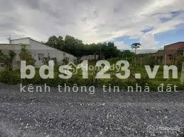 An Phú, Củ Chi cho thuê đất có diện tích khoảng 42m2-02