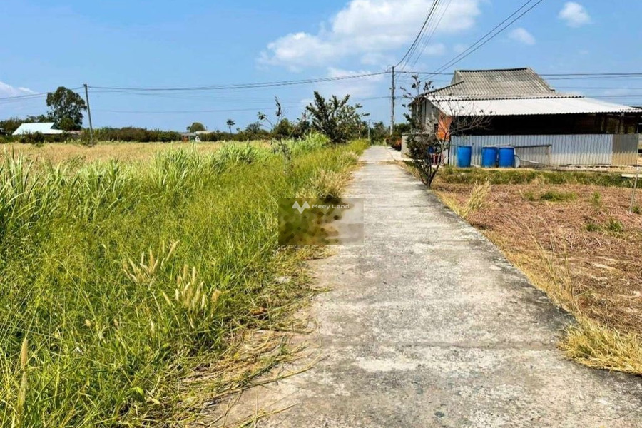Phú Đông, Tiền Giang bán đất giá bán bất ngờ chỉ 290 triệu, hướng Tây Nam diện tích khoảng 755m2-01