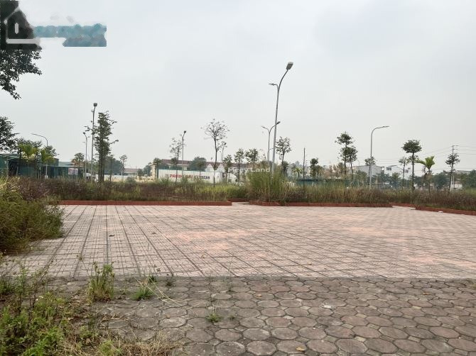 Giá bán êm chỉ 3.6 tỷ bán đất diện tích mặt tiền 91m2 vị trí đặt ở Thị Trấn Lim, Bắc Ninh, hướng Đông Nam-01