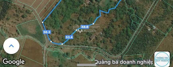 Tân Lâm, Bà Rịa-Vũng Tàu 68 tỷ bán đất với diện tích chuẩn 28000m2-02