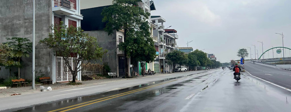 Bán đất mặt đường Bùi Thị Xuân, cầu chữ Y, 67.5m2, mặt tiền 4.5m, đường và vỉa hè cực rộng, kinh doanh buôn bán-03