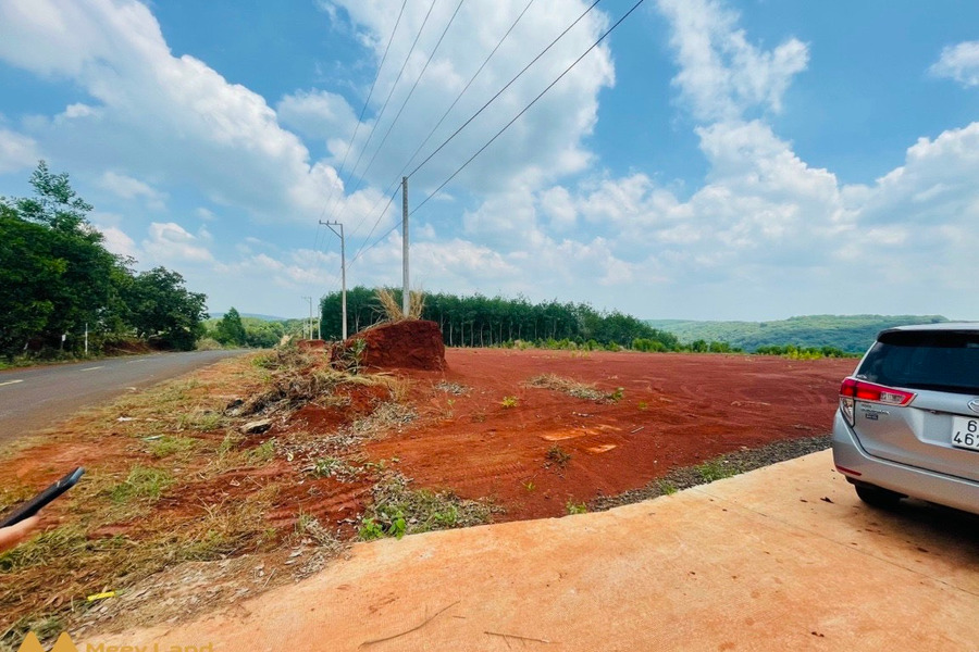 Chính chủ bán 10 lô đất mặt tiền đường DT 753 ở xã Tân Lợi, huyện Đồng Phú, tỉnh Bình Phước-01