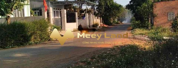 Bán đất vị trí thuận lợi tọa lạc gần Mậu Thân, Đắk Lắk-03