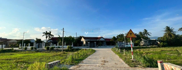 400 triệu bán đất diện tích rộng rãi 355m2 vị trí thuận lợi tọa lạc ngay trên Diên Khánh, Khánh Hòa, hướng Đông - Nam-03