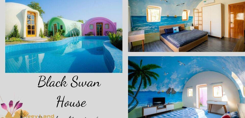 Cho thuê Black Swan House homestay Quảng Ninh