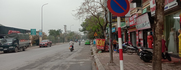 Bán nhà phố Ngô Xuân Quảng, Trâu Quỳ, Gia Lâm diện tích 40m2, mặt tiền 9m, giá 3,1 tỷ-02