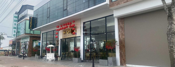 Bán mảnh đất diện tích 135m2 tại Quang Minh, Mê Linh-03