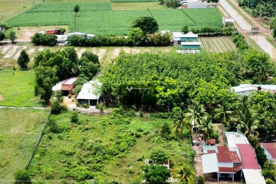 Cần xoay sở tiền bán mảnh đất, 158m2 giá bán mong muốn chỉ 200 triệu vị trí mặt tiền gần Tân Biên, Tây Ninh khu vực đông đúc-01
