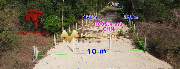 Bán đất diện tích đúng với trên ảnh 1005m2 vị trí mặt tiền nằm trên Lương Định Của, Bình Thuận, hướng Tây Bắc-02