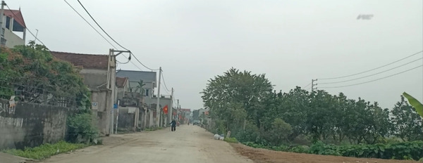 Chính chủ bán 120m2 đất giãn dân xã Tri Trung, huyện Phú Xuyê,n cạnh khu đất đấu giá Đồng Mèo-03