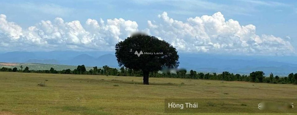 Ngay Hồng Thái, Bình Thuận bán đất 1.18 tỷ có diện tích chính 10725m2-03