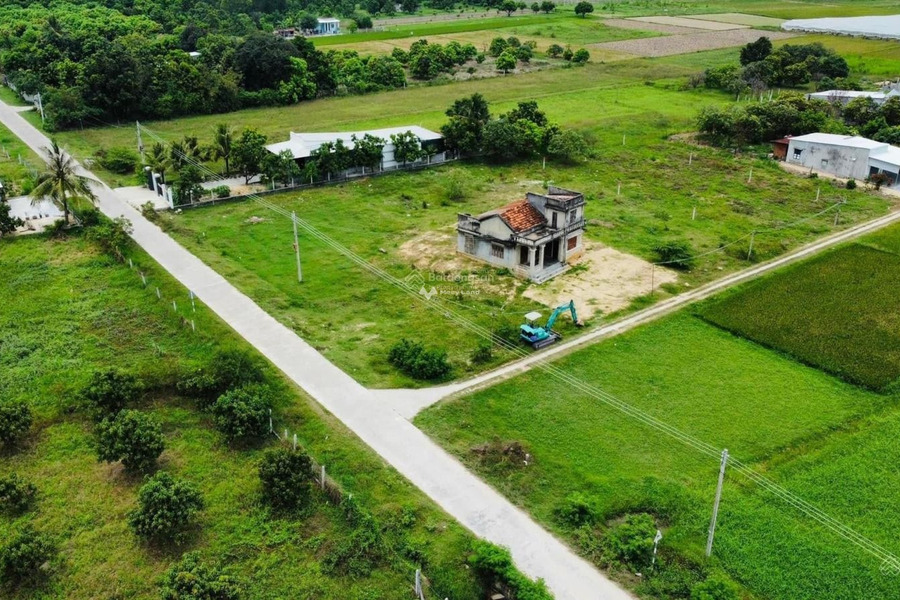 Gia đình khó khăn bán mảnh đất, 8057m2 giá bàn giao 5 tỷ vị trí thuận lợi tại Cam Thành Bắc, Cam Lâm pháp lý nhanh-01