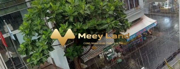 Nguyễn Quang Bích, Hồ Chí Minh diện tích 32m2 cho thuê phòng trọ vị trí đắc địa-02