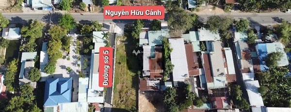 Vị trí trung tâm Tân Hưng, Bà Rịa bán đất giá bán thương mại 8 tỷ với diện tích thực 750m2-03