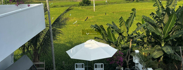 Bán một chiếc Villa đẹp view lúa gần phố cổ Hội An-03