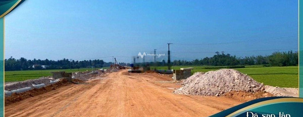 Giá bán đặc biệt 789 triệu bán đất có diện tích chung 100m2 vị trí thuận lợi tọa lạc gần Tam Quan, Bình Định-02