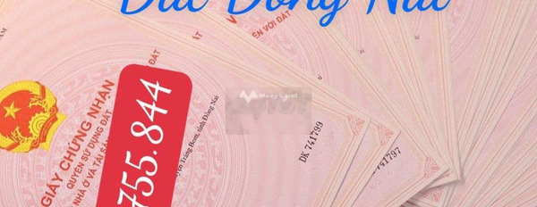 Sông Thao, Trảng Bom 380 triệu bán đất với tổng diện tích 84m2-03