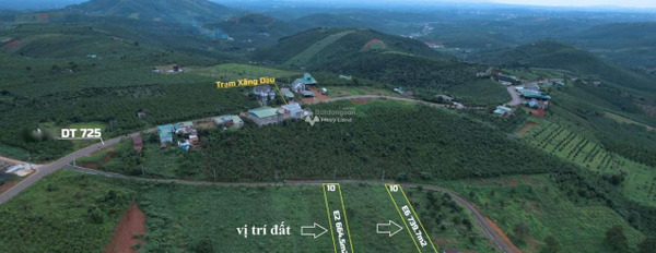 Bảo Lâm, Lâm Đồng 1.49 tỷ bán đất diện tích rộng là 664m2-03