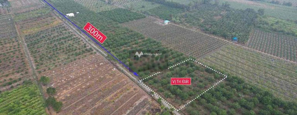 Bán đất 690 triệu Bình Đức, Long An diện tích chung quy 2000m2-03