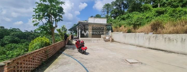 Bán nhà + vườn sầu riêng 6800m2 view đẹp giá tổng chỉ 4 tỷ giá ưu đãi-02