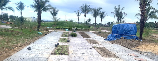 Bán đất diện tích 100m2 vị trí cực kì thuận lợi ngay tại Tam Quan Bắc, Bình Định-03