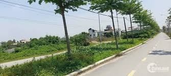 Bán lô đất 75m2 đất đấu giá thôn Khánh Tân, xã Sài Sơn, Quốc Oai -01