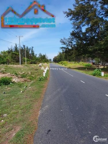 Tại Tuy Phong, Bình Thuận bán đất 499 triệu diện tích rộng rãi 228m2-01