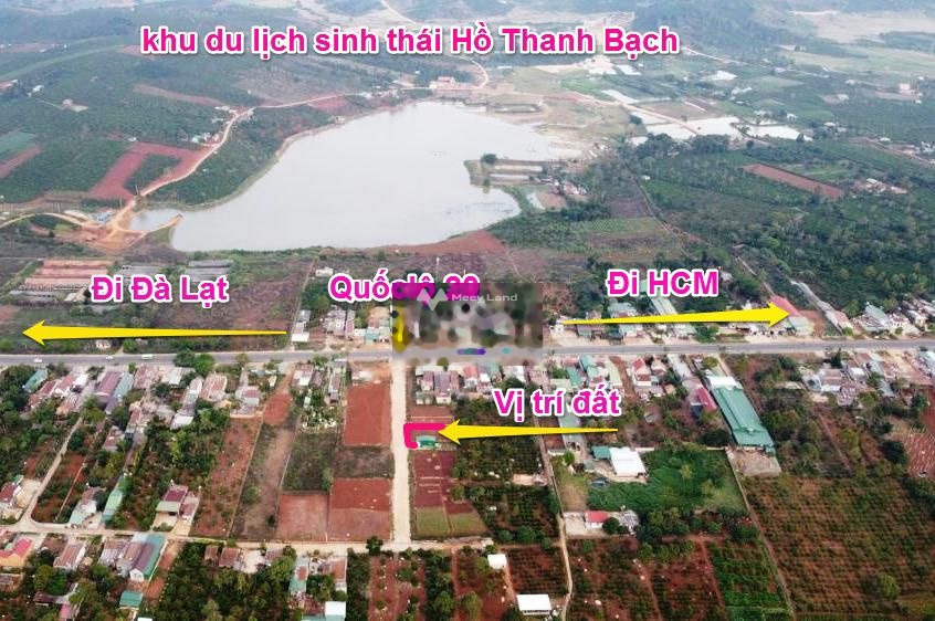 Cần gấp bán đất Quốc Lộ 20, Di Linh giá khủng chỉ 1.5 tỷ có diện tích là 184m2-01