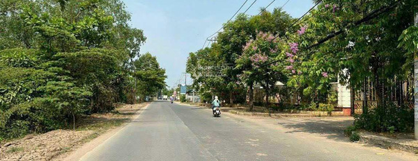 Từ 16 tỷ bán đất diện tích chung 1000m2 mặt tiền nằm ở Long Phước, Quận 9-02