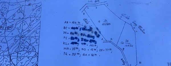 Lô đất 3 hecta đối diện KCN Thắng Hải giá 2ty7/ ha -03