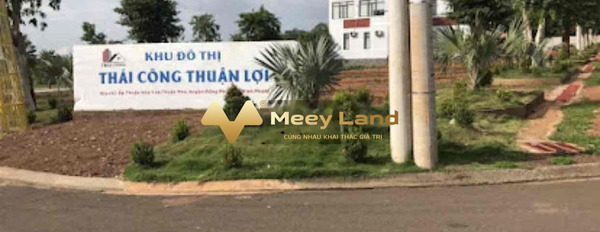 Bán đất diện tích 250m2 Thuận Lợi, Đồng Phú, giá 500 triệu-02