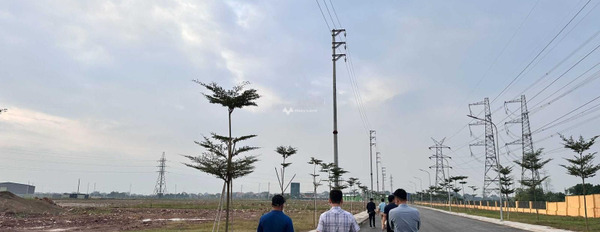 Tọa lạc ngay Hiệp Hòa, Bắc Giang cần bán kho bãi 5000m2 khách có thiện chí liên hệ ngay-03