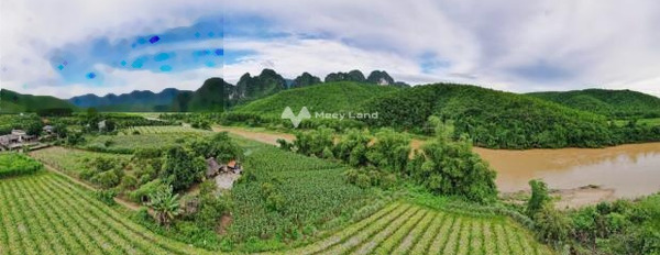 Diện tích chính là 3300m2 bán đất giá bán thị trường 2.81 tỷ-02