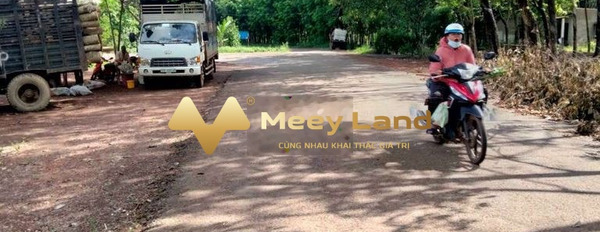 Tại Đường Liên Xã, Huyện Đồng Phú bán đất 5.5 tỷ có diện tích chuẩn 9400 m2-02