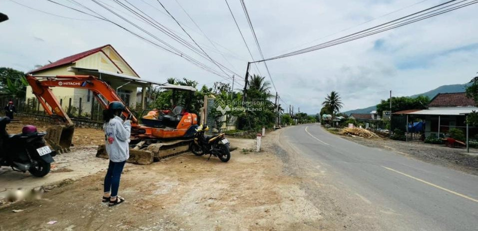 Mặt tiền tọa lạc gần Diên Khánh, Khánh Hòa bán đất giá bàn giao chỉ 1.1 tỷ với diện tích là 234m2