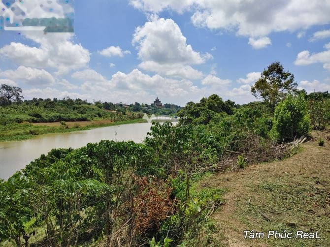 Ninh Gia, Lâm Đồng bán đất giá bán êm chỉ 12 tỷ diện tích tổng 11000m2-01