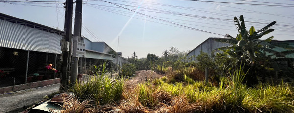 Bán đất ở Lê Minh Xuân, Bình Chánh 150m2 giá 1,65 tỷ mặt tiền đường 5m-02