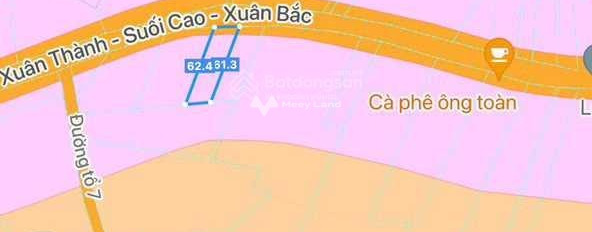 Mặt tiền tọa lạc gần Xuân Lộc, Đồng Nai bán đất giá siêu mềm 1.7 tỷ diện tích thực là 1026m2-02