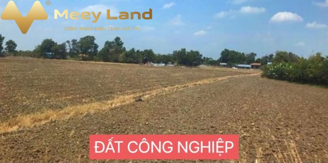 Mặt tiền tọa lạc ngay tại Phường Dị Sử, Thị Xã Mỹ Hào cần bán kho bãi 21000 m2 giá khủng chỉ 46.2 tỷ giá mềm sinh viên-01